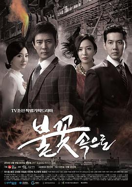 口碑好的seo软件